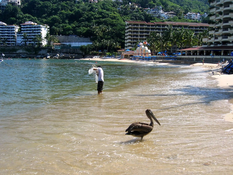 i travel puerto vallarta