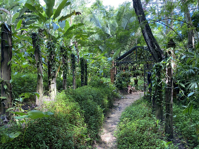 botanical garden