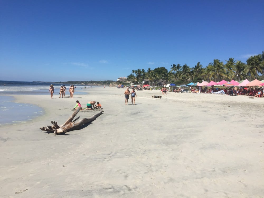 things to do in punta mita