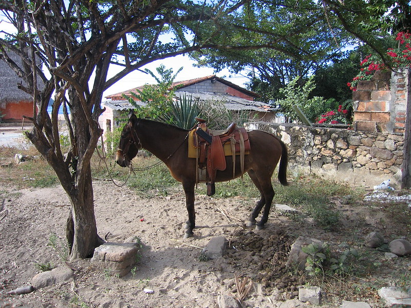 yelapa mexico