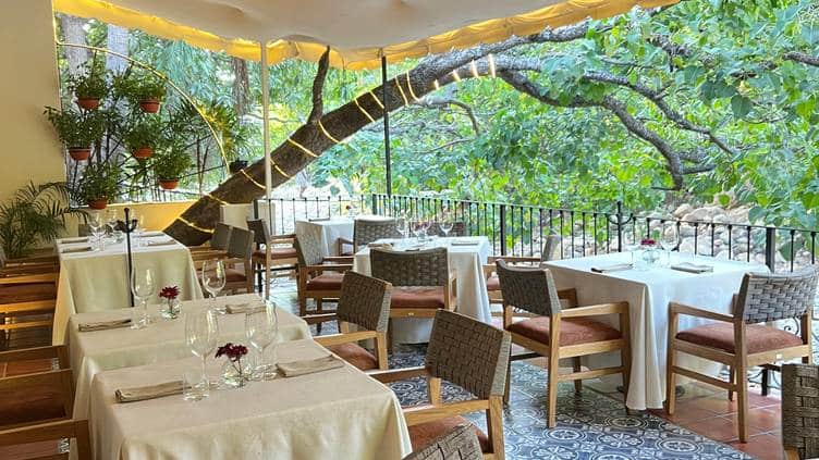 top restaurants in puerto vallarta